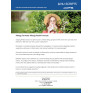 Allergy Formula (DFS)