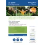 ImmunoZyme™