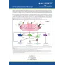 ImmunoZyme™