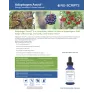 Adaptogen Assist | LERA®